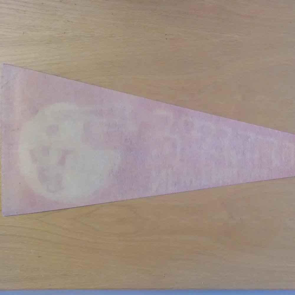 Vintage 70s  New England Patriots NFL Pennant Flag